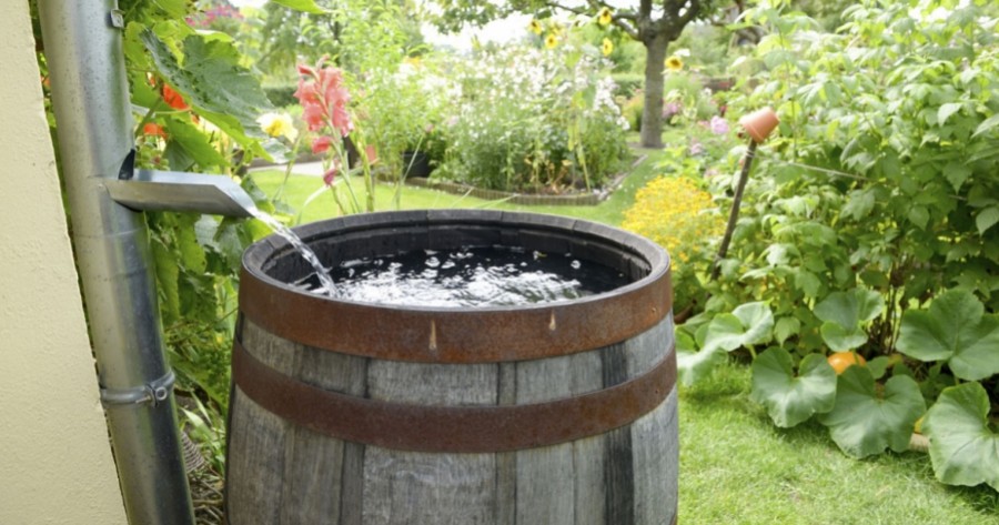 Come utilizzare l'acqua piovana raccolta in una cisterna - EcoTank