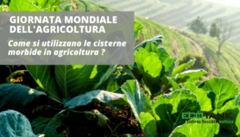 Día Mundial de la Agricultura: tanques flexibles para el almacenamiento de agua