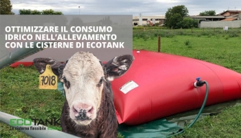 Ottimizzare il consumo idrico nell’allevamento con le cisterne di EcoTank