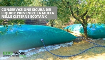 Come posso evitare che l’acqua diventi verde in un serbatoio?