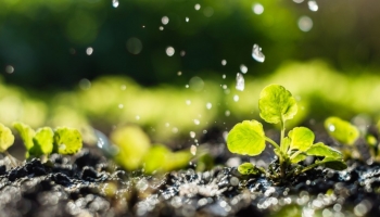 Scopri come gestire l'acqua piovana in modo efficiente con EcoTank