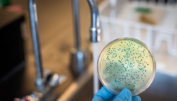 Avvelenamento da acqua: cause, sintomi e soluzioni per una conservazione sicura