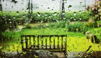 Come purificare e conservare l'acqua piovana per poterla poi riutilizzare?