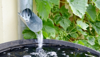 Filtrazione dell'acqua piovana: soluzioni per una raccolta sicura