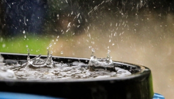 Raccoglitori d'acqua piovana: risparmia e proteggi l'ambiente