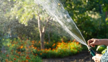 Cisterna irrigazione: risparmia acqua per il tuo giardino