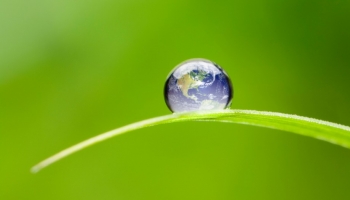 Equilibrio ambientale: proteggi l'acqua con EcoTank