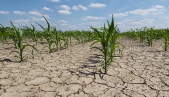 Siccità in Pianura Padana: le soluzioni di stoccaggio dell'acqua