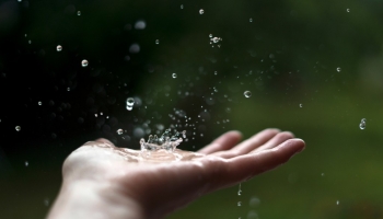 Come potabilizzare l'acqua piovana: la guida pratica